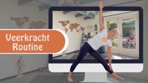 Veerkracht Routine